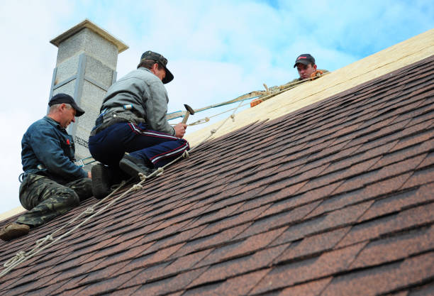 Roof Gutter Cleaning in Melville, NY